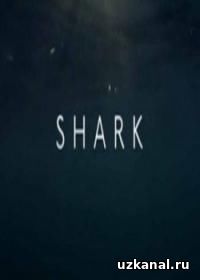 Вся правда об акулах 2016-2017 1-2-3-4-5 сериал / Shark онлайн