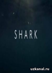 Вся правда об акулах 2016-2017 1-2-3-4-5 сериал / Shark онлайн