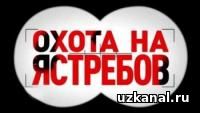Охота на ястребов. Америка: столетие войны 1 сезон 1-2-3-4 сериал онлайн